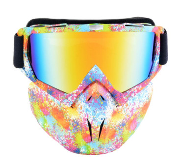 Premium Masken für Ski und Snowbaord versch. Farben Bunt