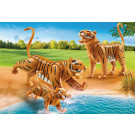 2 Tiger mit Baby