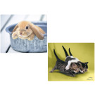 Doppelpack Mousepad Cats + Rabbit